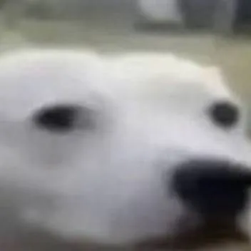 chat with ai character: talkie creators 24