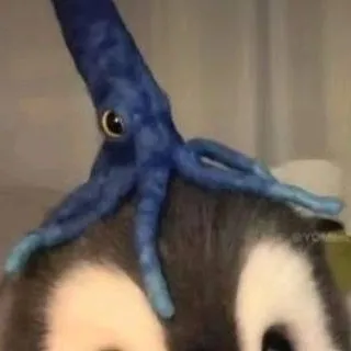 chat with ai character: hashira