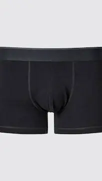 ai character: boxers background