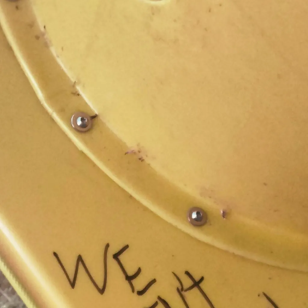 chat with ai character: . . Moonflower . .