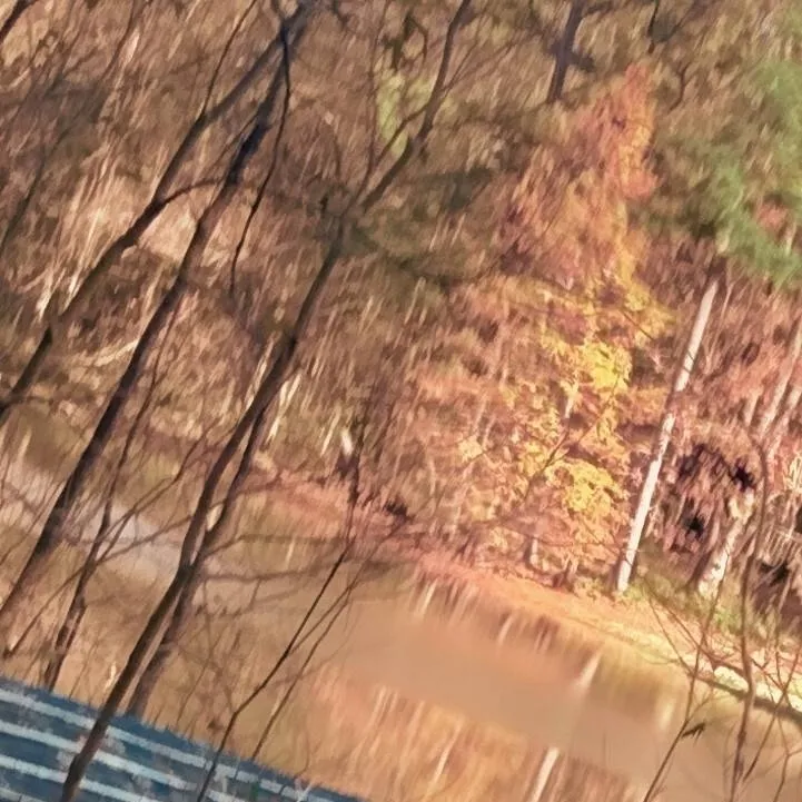 chat with ai character: / / FINN <3 🦈🌊