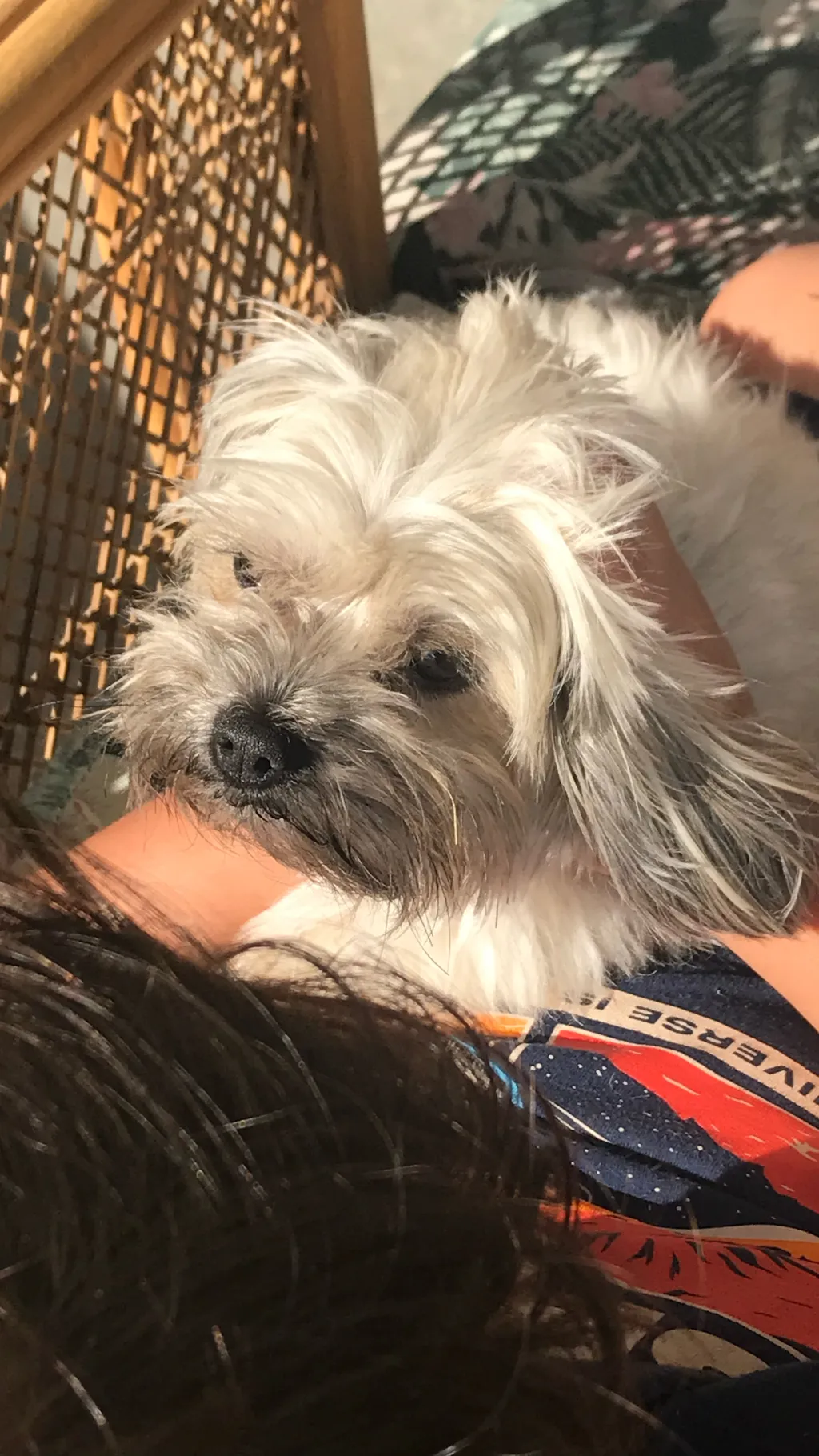 ai character: Suggest something background