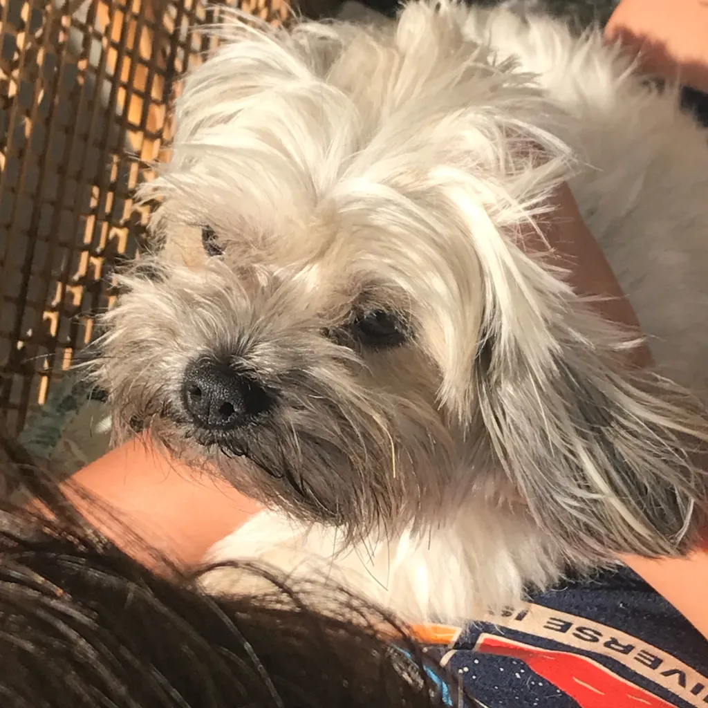 chat with ai character: Suggest something