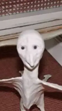 ai character: Bird background