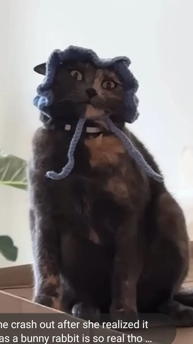 ai character: Coal background