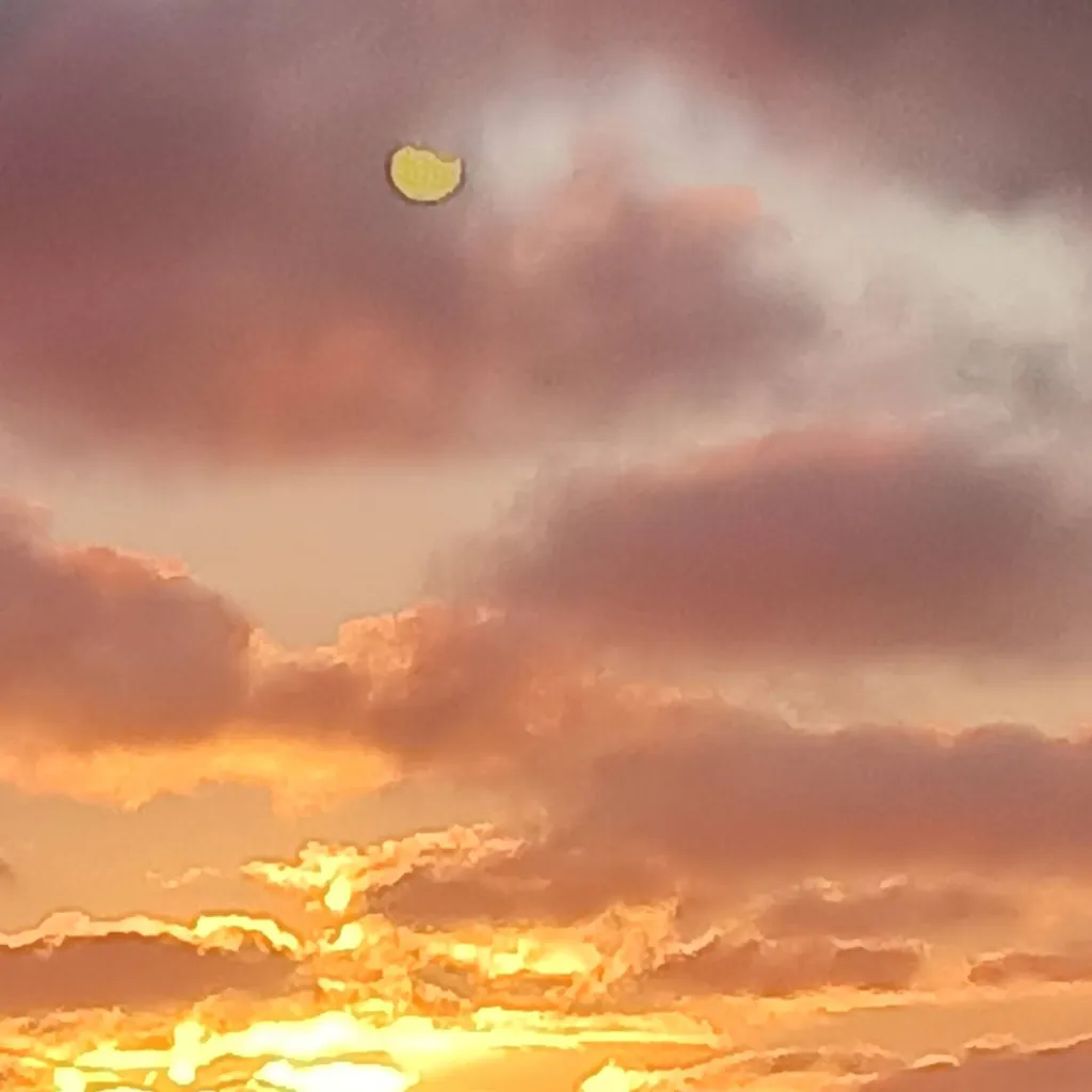 chat with ai character: Tyler Mace