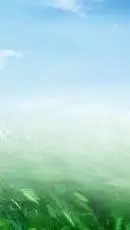 ai character: Your Hair In Windy background