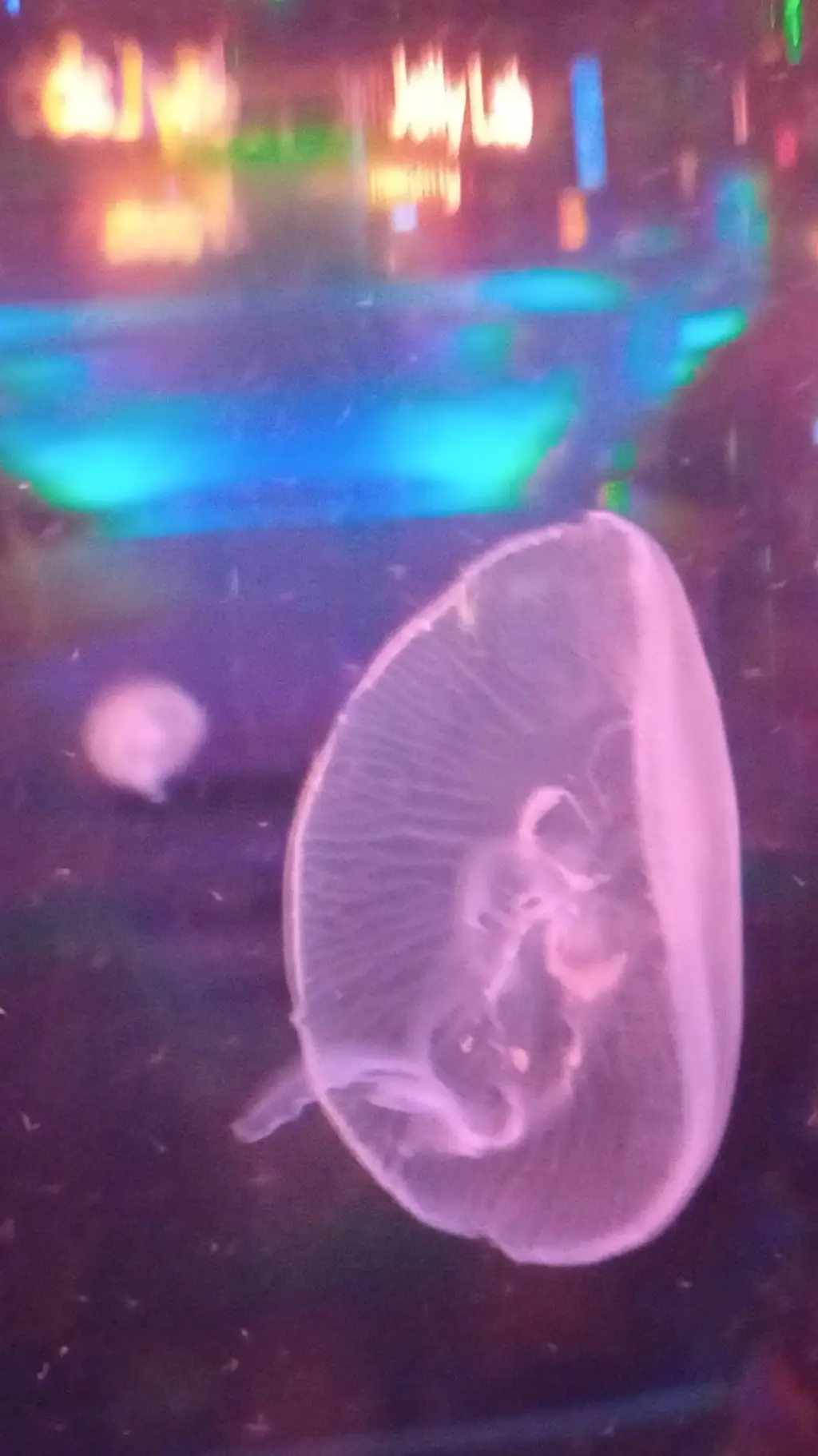 ai character: rainbow x apple background