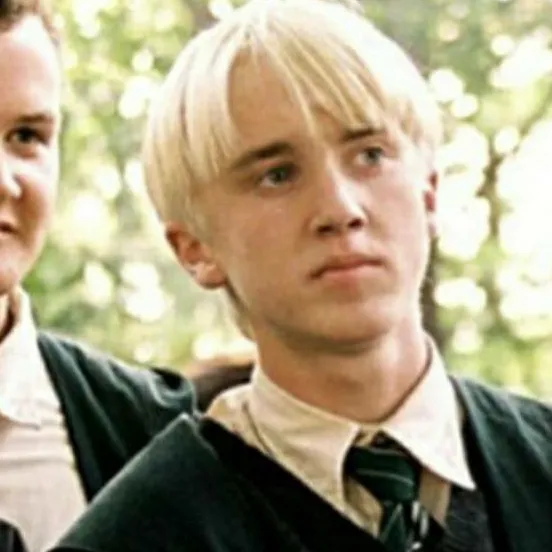chat with ai character: Draco Malfoy 