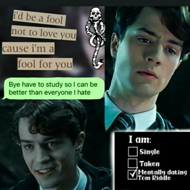 chat with ai character: ~Tom Riddle~