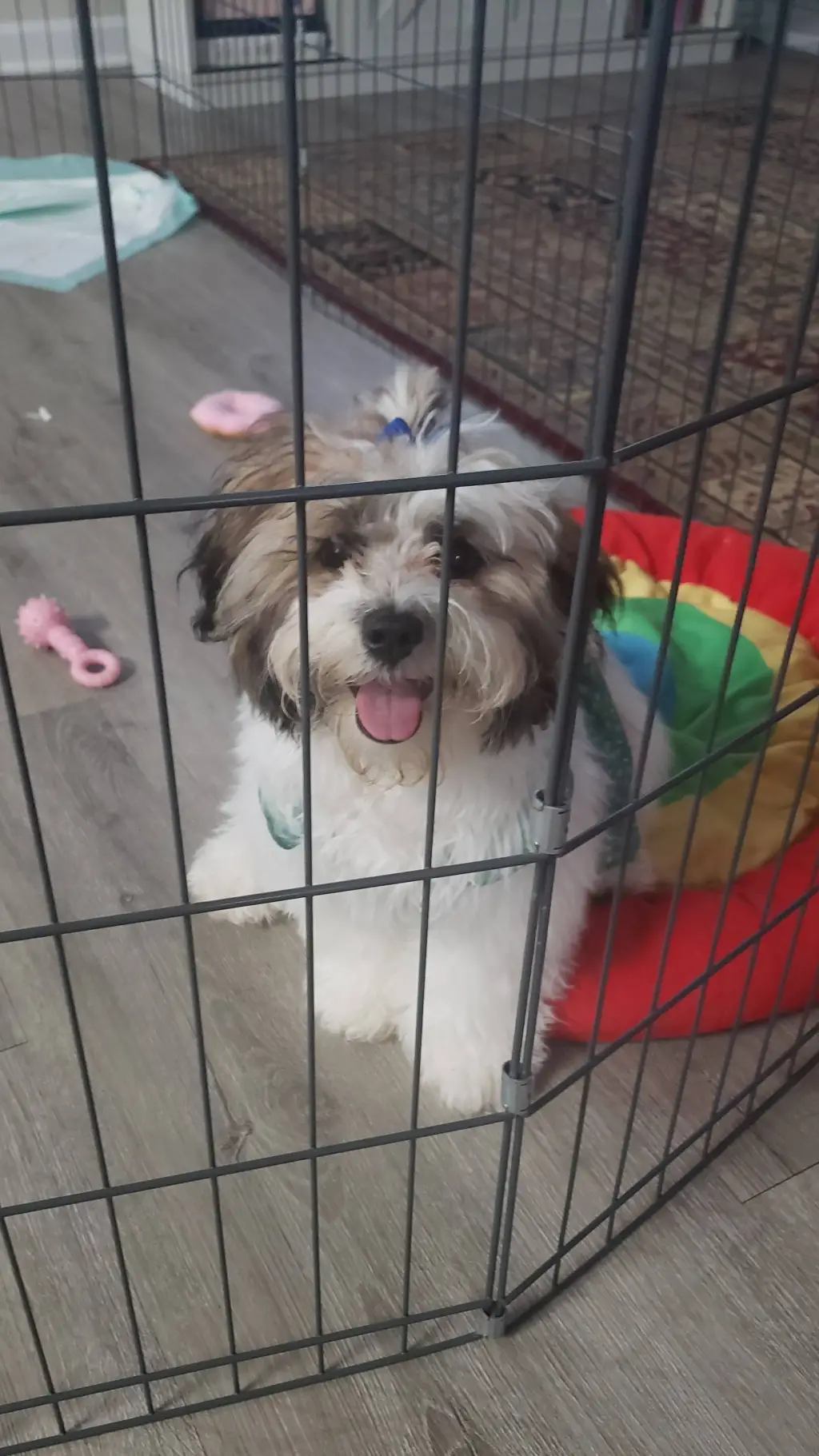 ai character: Mocking Draco background