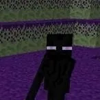 chat with ai character: baby Enderman
