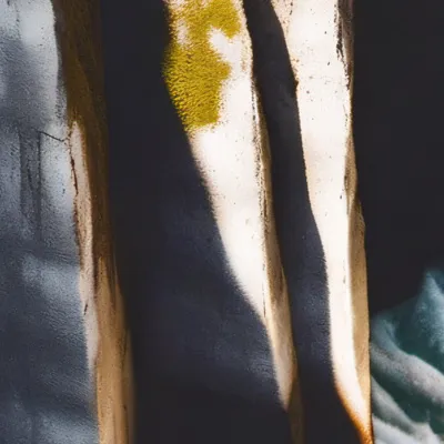 chat with ai character: Brothers