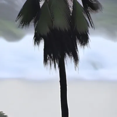 chat with ai character: 5 older brothers