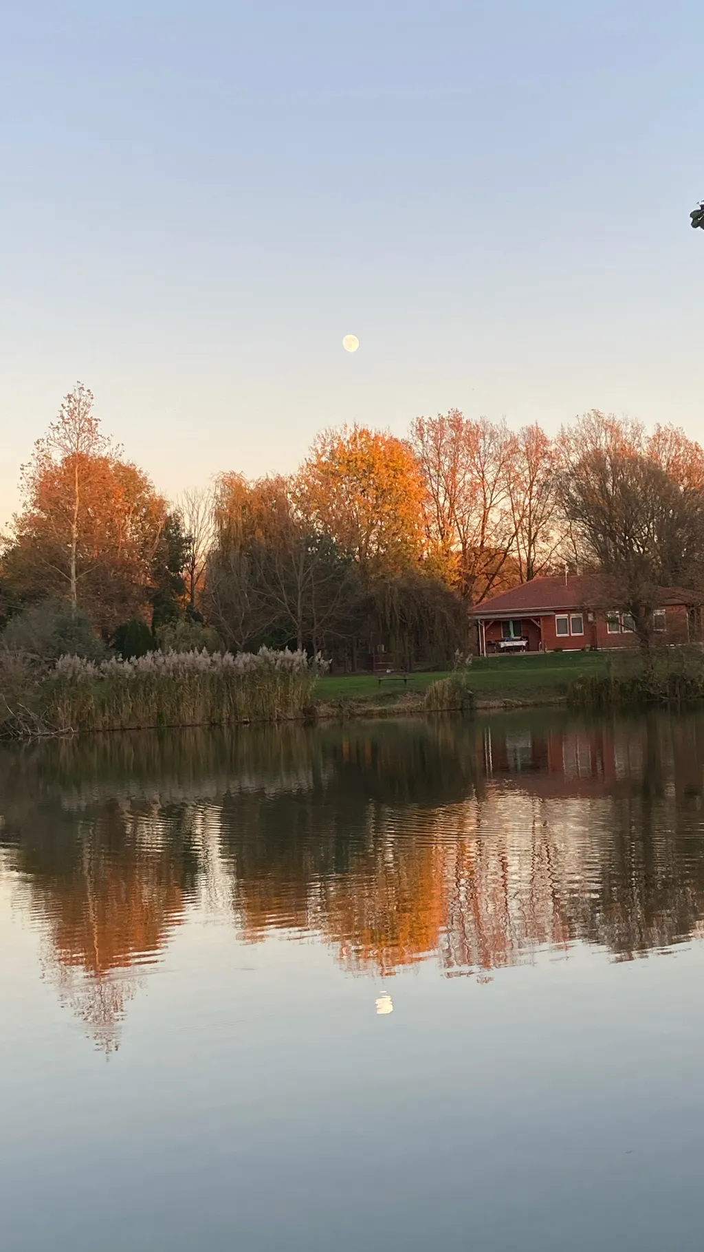 ai character: the devs 👽 background