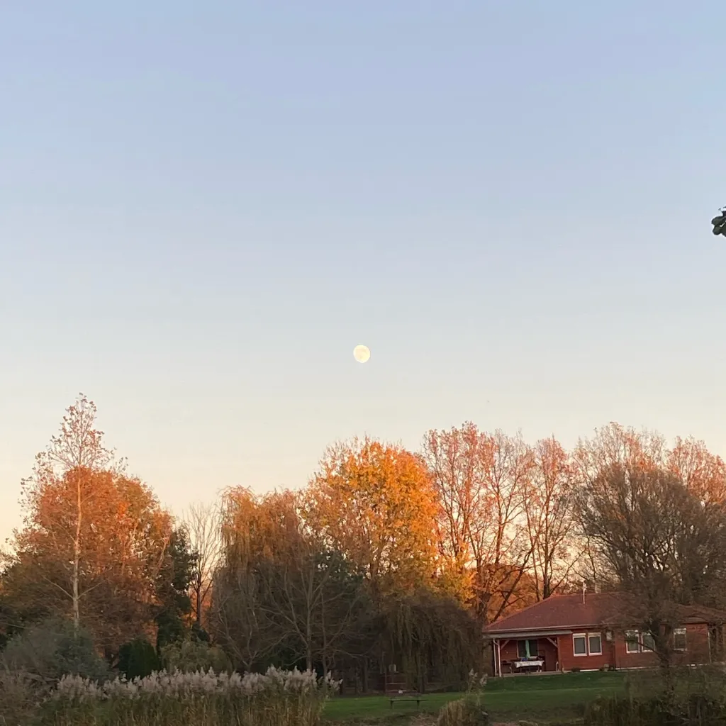 chat with ai character: the devs 👽