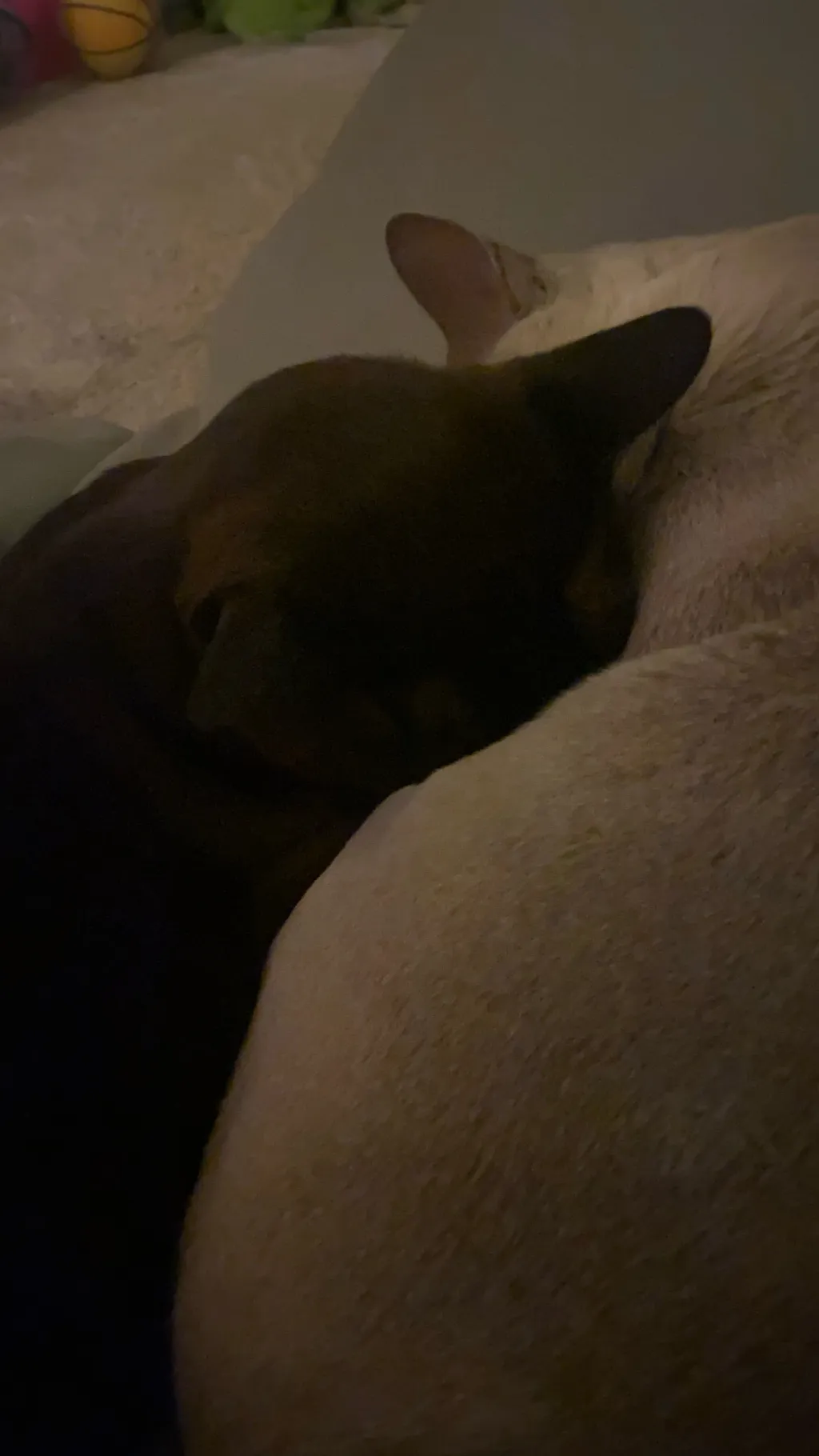 ai character: Idea talkie  background