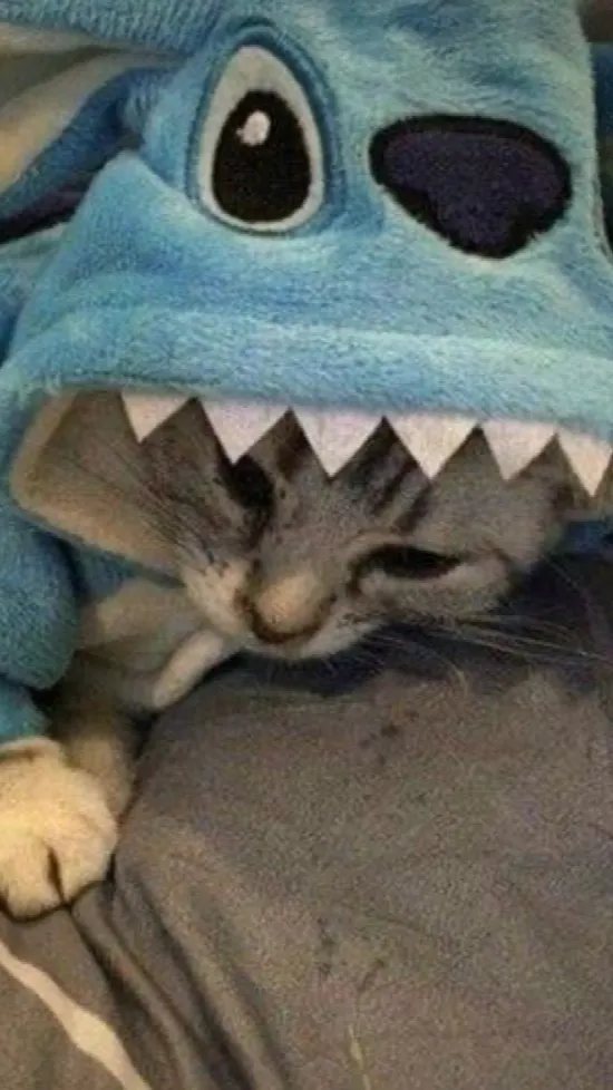 ai character: Sharkie  background