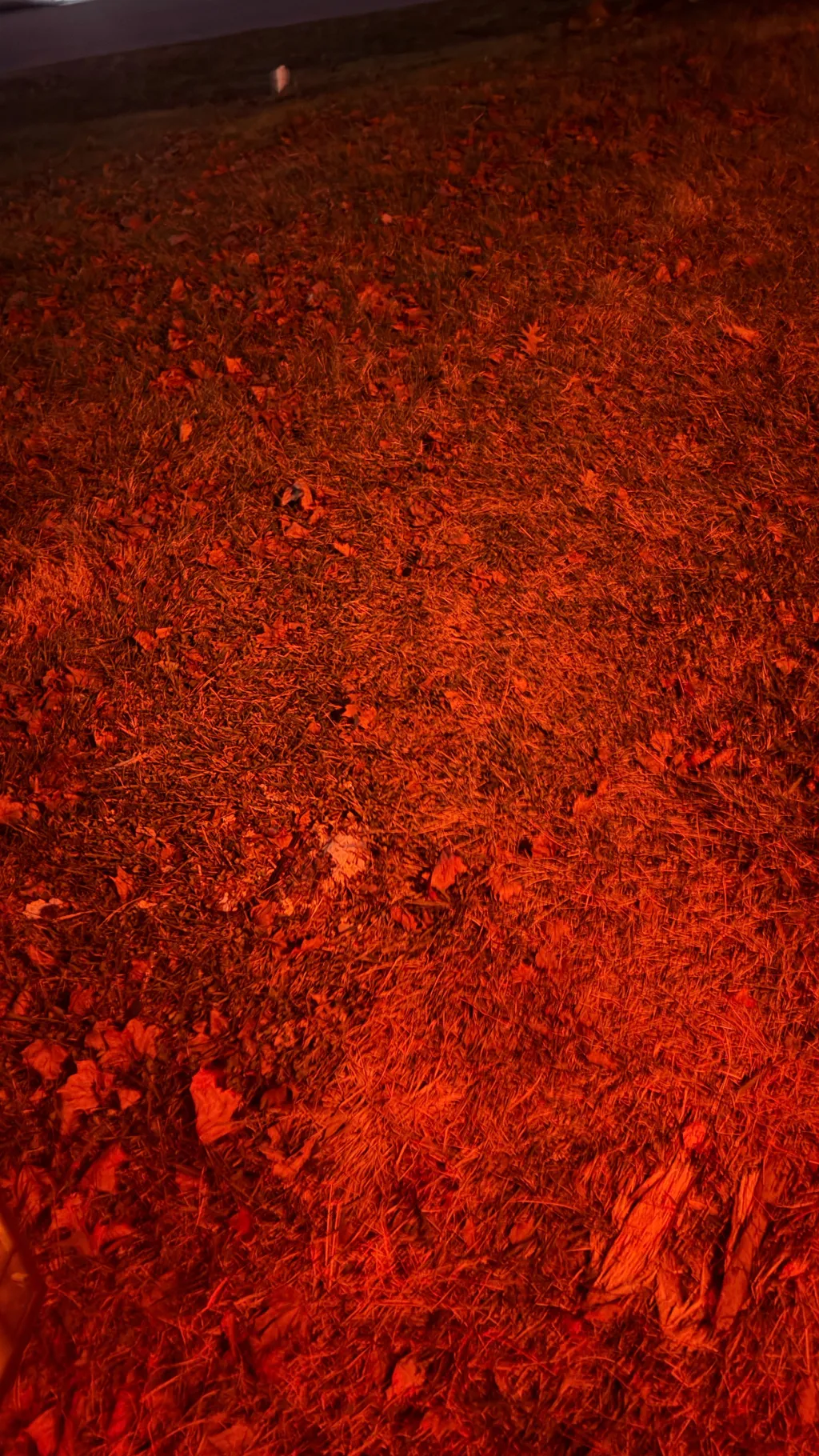 ai character: Friends hostaged background