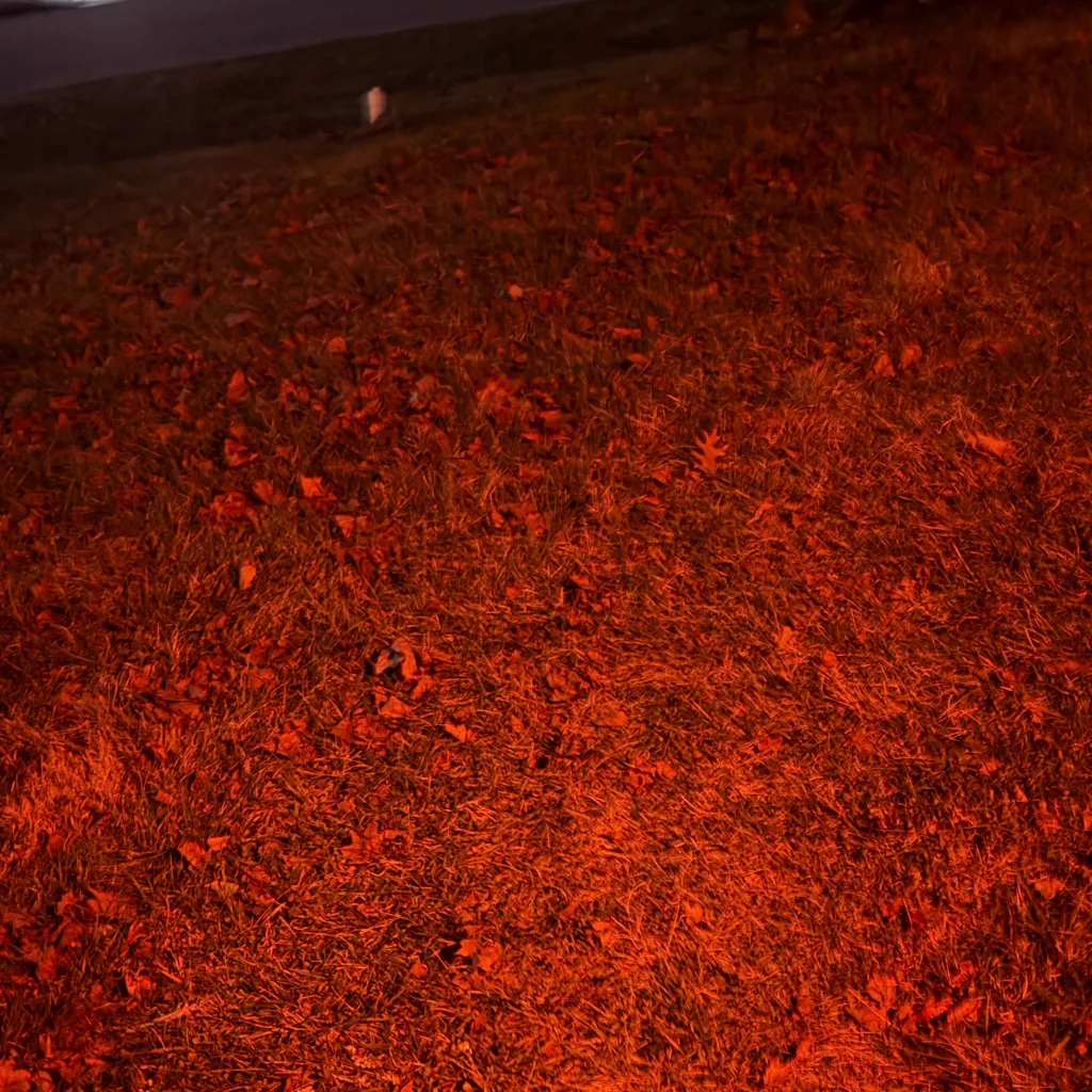 chat with ai character: Friends hostaged