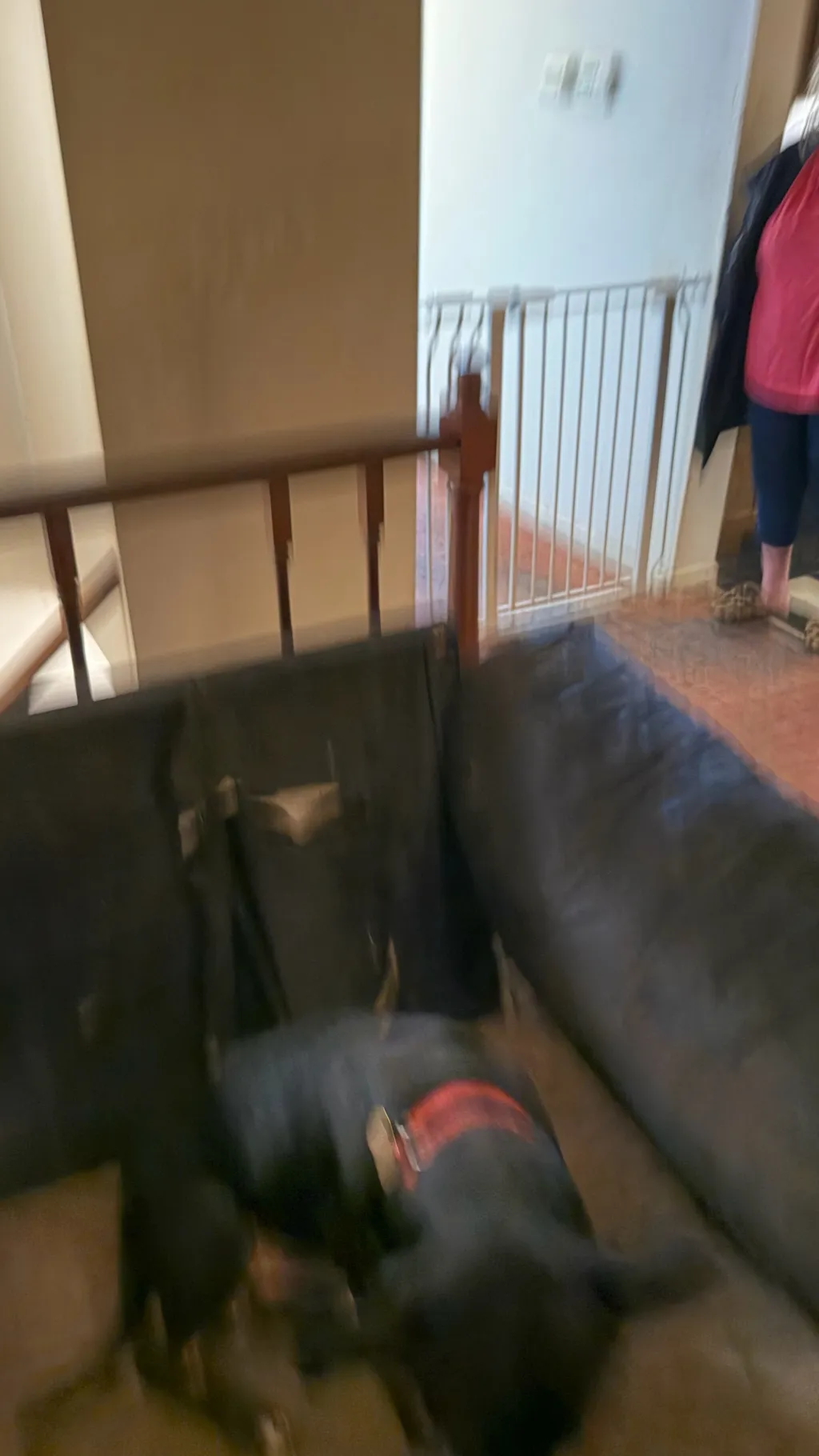 ai character: Landen and Hailey  background