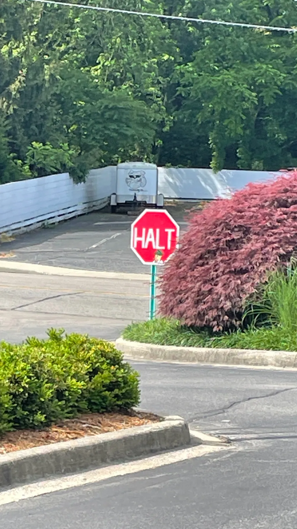 ai character: Iliana  background