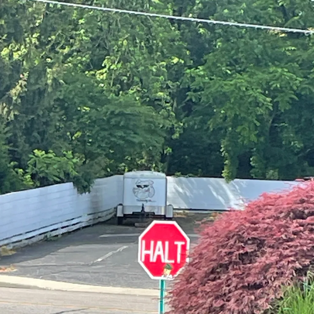 chat with ai character: Iliana 