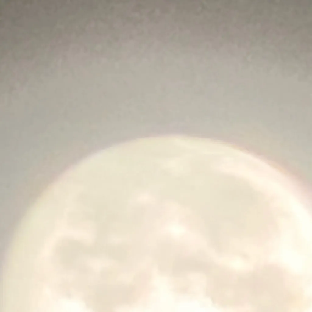 chat with ai character: Born leap year