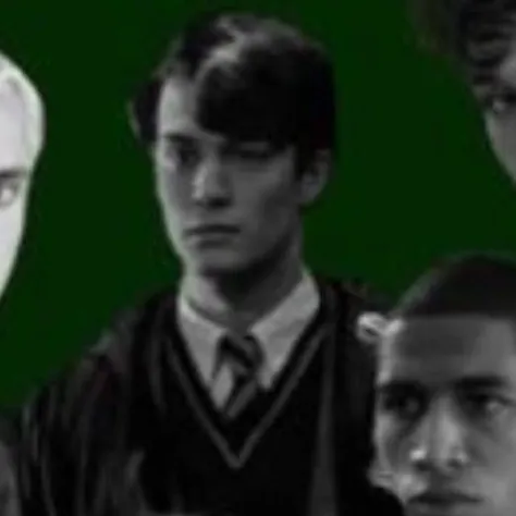 chat with ai character: Slytherin boys 