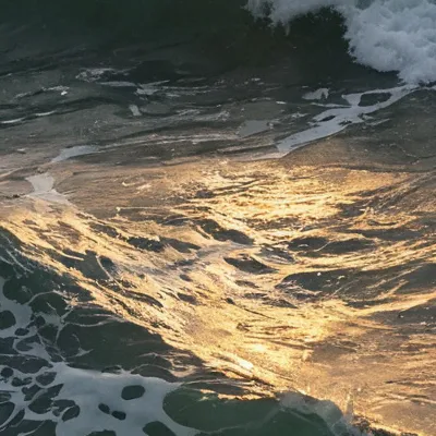 chat with ai character: If this