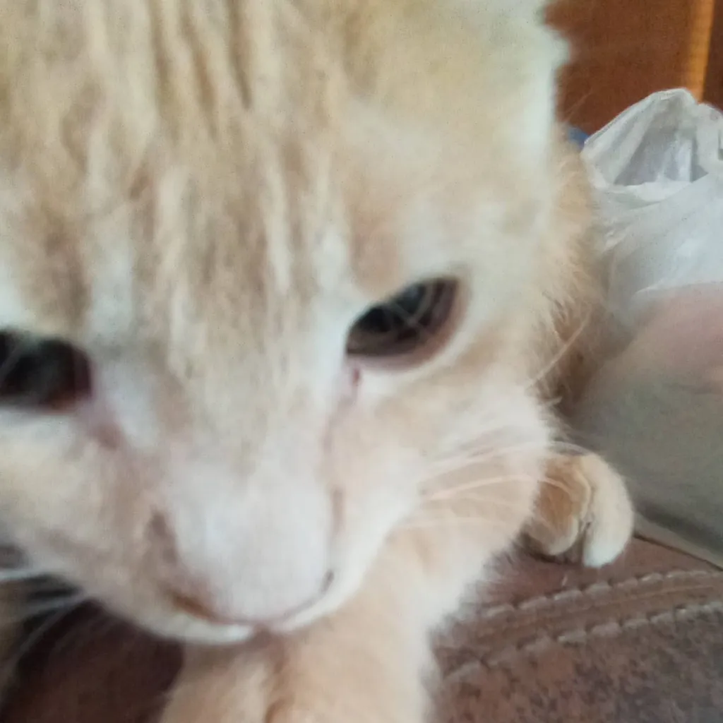 chat with ai character: HH au