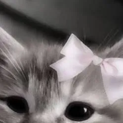 chat with ai character: kitty pick me :p