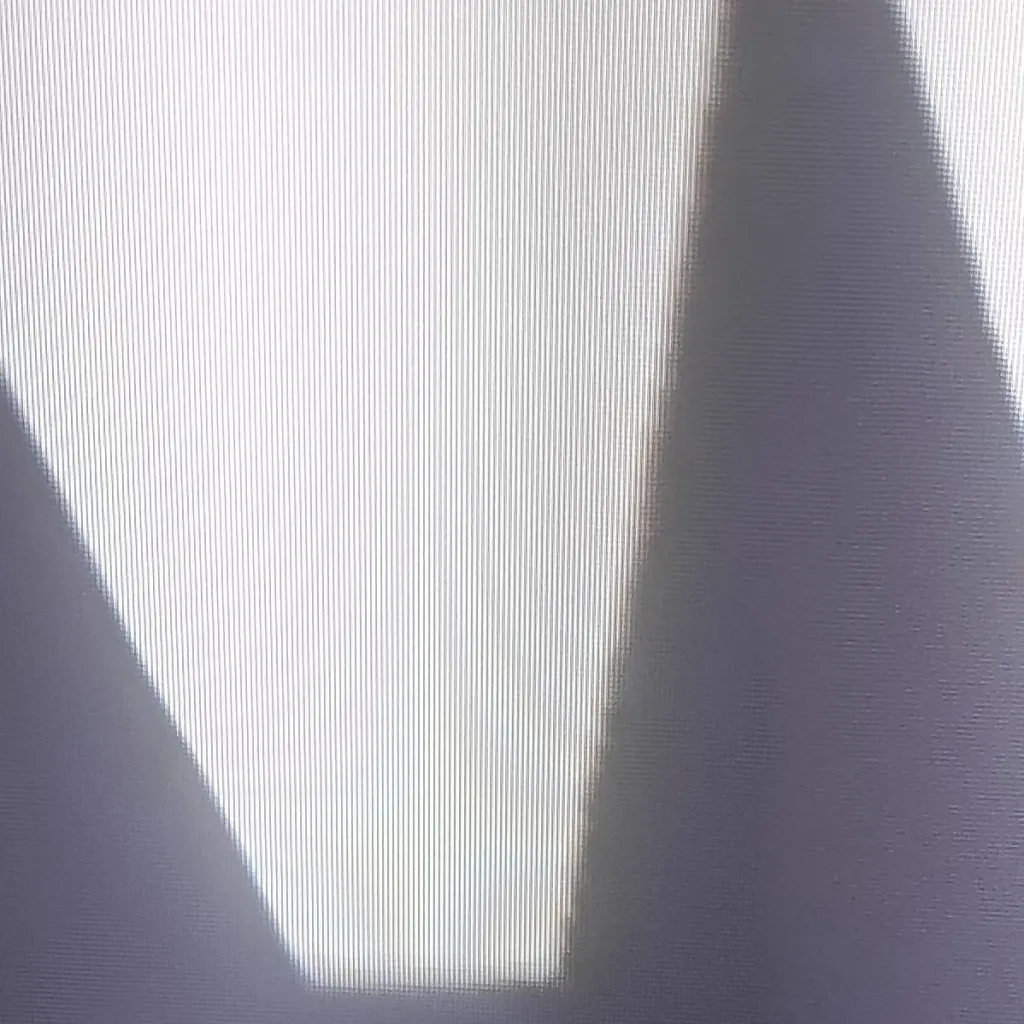 chat with ai character: miss circle 