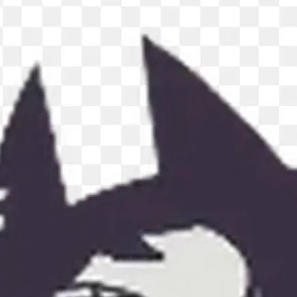 chat with ai character: miss circle cat