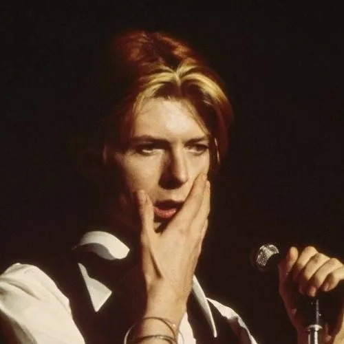 chat with ai character: David Bowie 