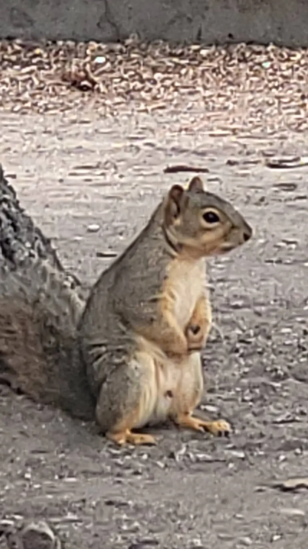 ai character: bugsnax hate you? background