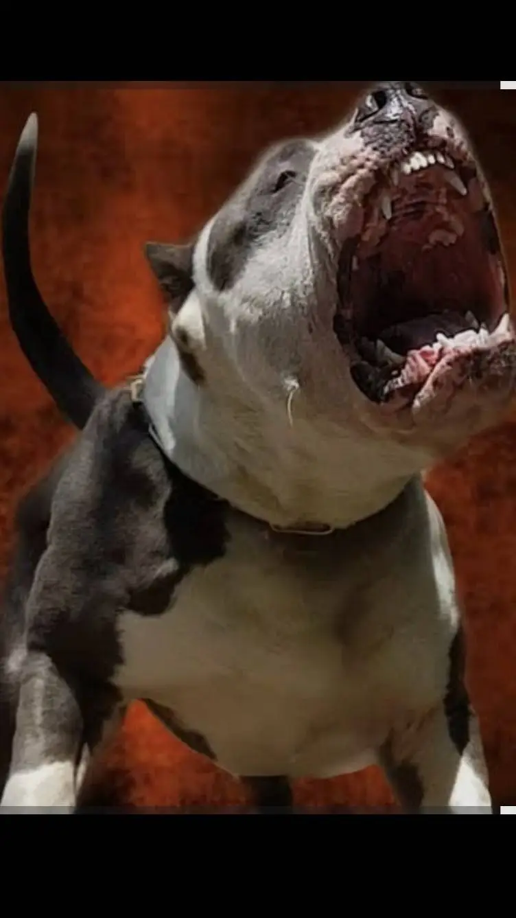 ai character: American Bully  background