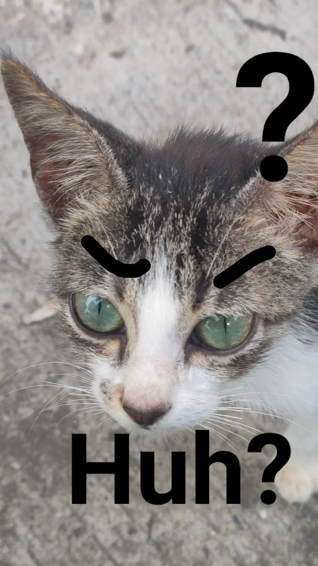 ai character: A cat background