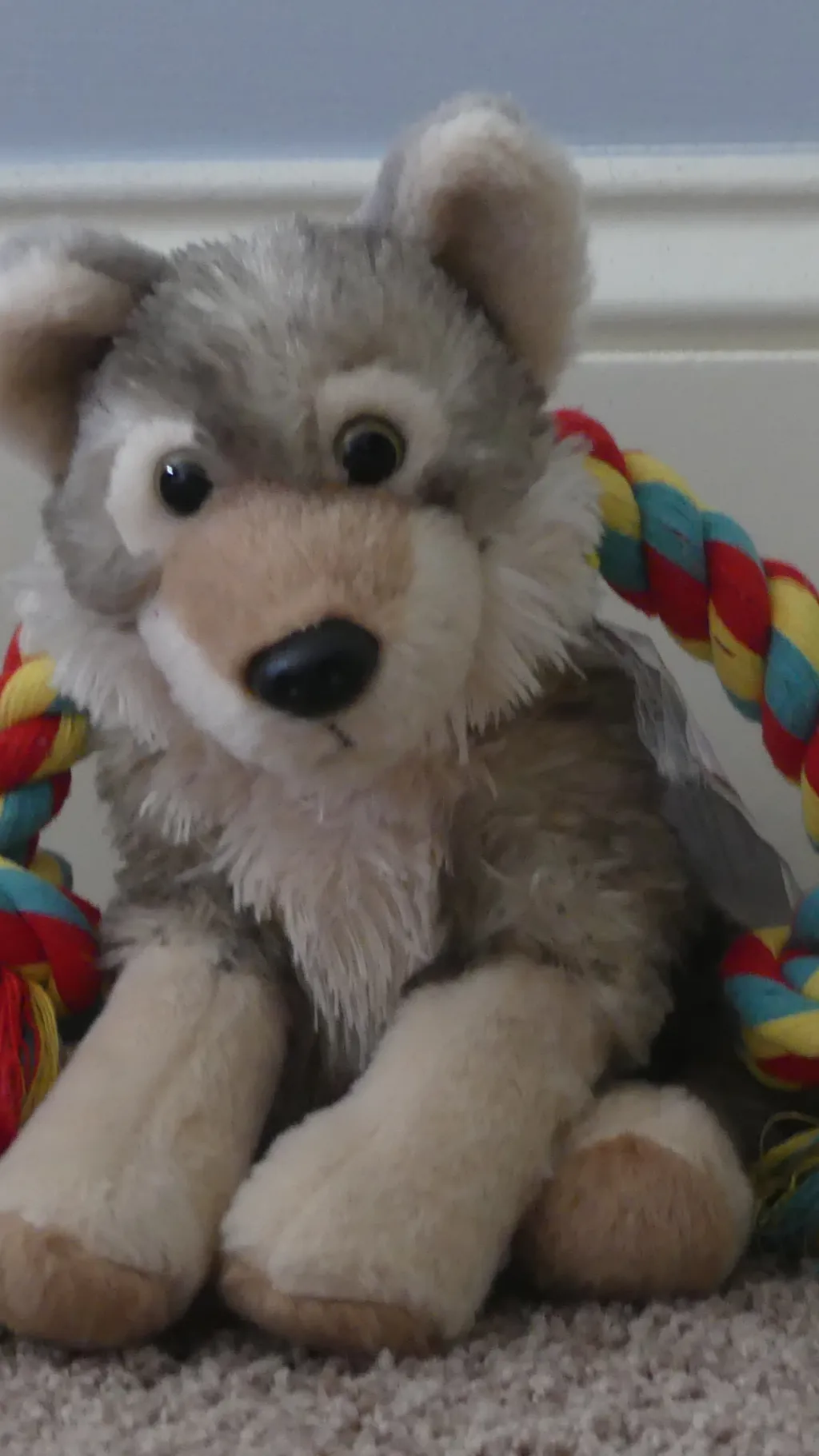 ai character: Levi  background