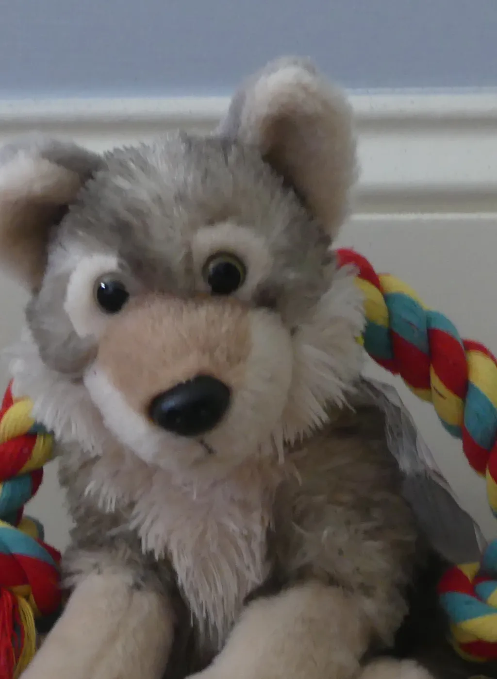 chat with ai character: Levi 