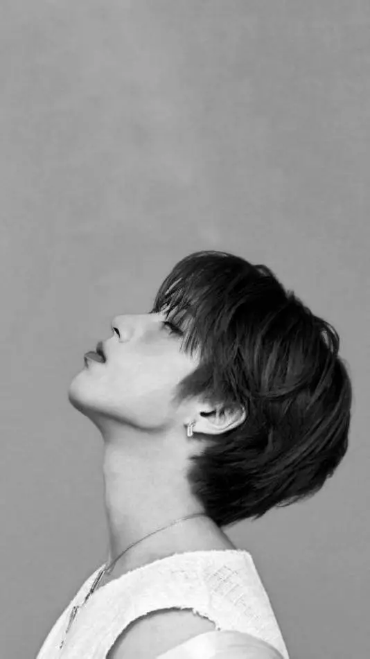 ai character: Han Jisung background