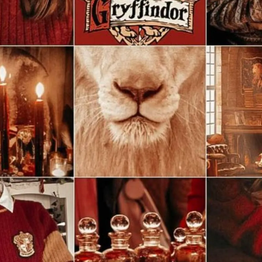 chat with ai character: Gryffindors
