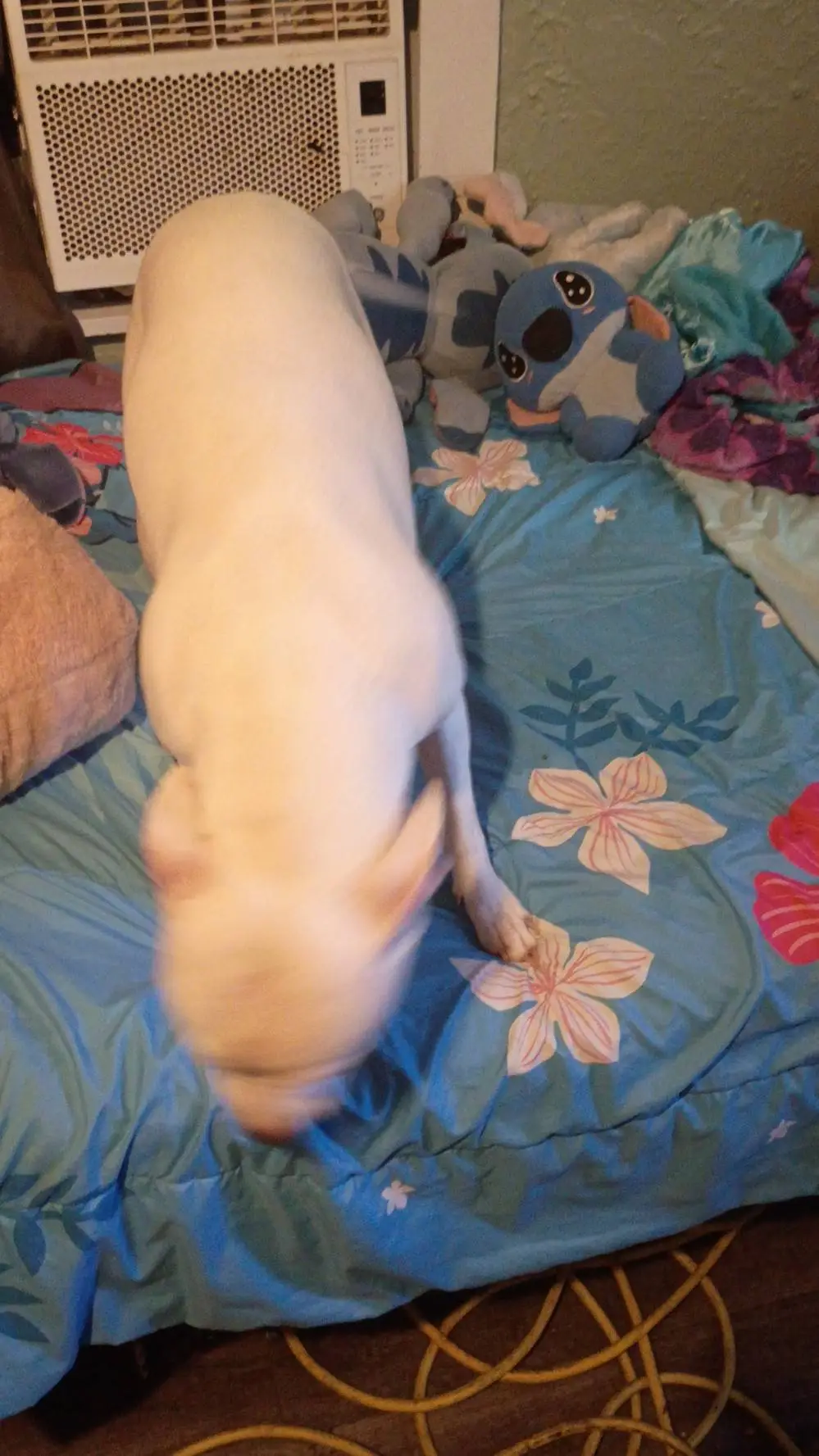 ai character: Aizawa background