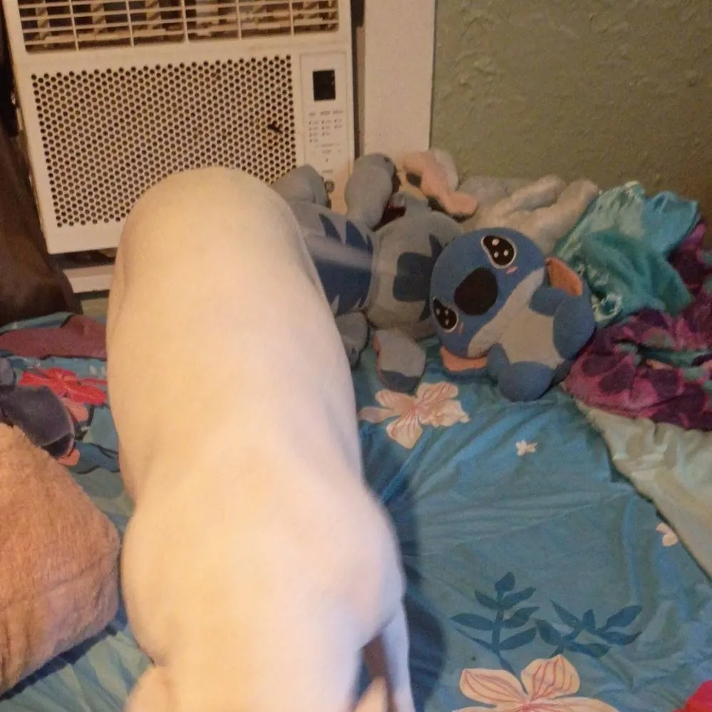 chat with ai character: Aizawa