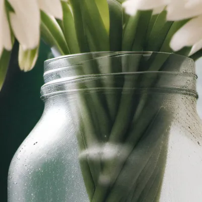 chat with ai character: Mr max