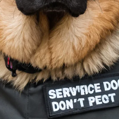 chat with ai character: Max