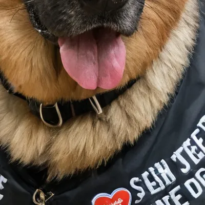 chat with ai character: Jake 