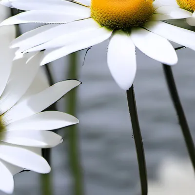 chat with ai character: Glitch trap 