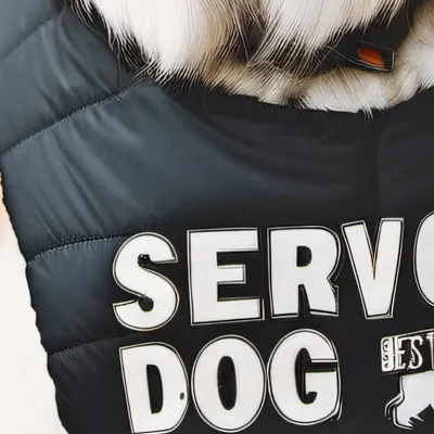 chat with ai character: Max