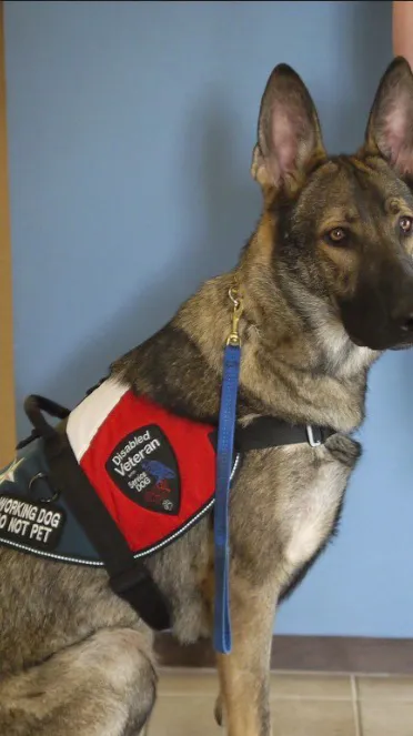 ai character: Rex  background